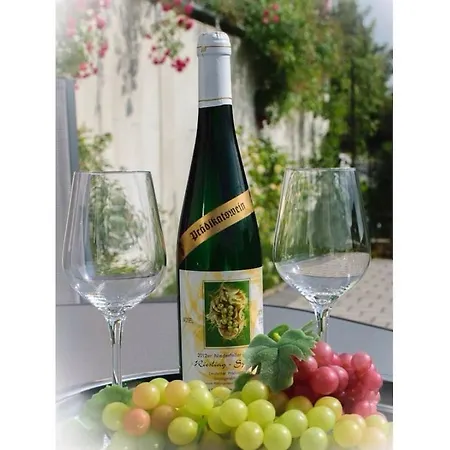 Moselle Castle View, Koblenz Dieblich