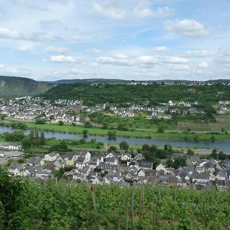 Moselle Castle View, Koblenz * דיבליך