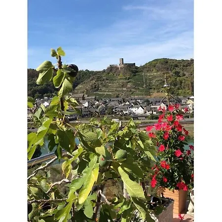 Moselle Castle View, Koblenz *