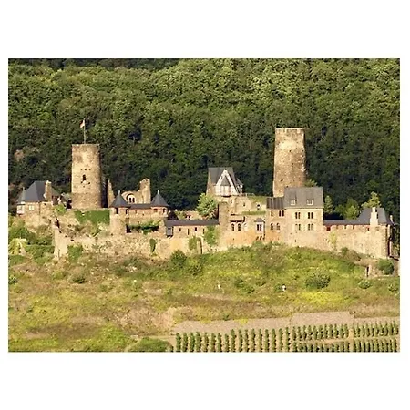 בית נופש Moselle Castle View, Koblenz דיבליך
