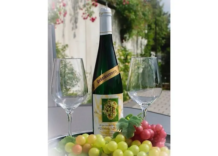 Moselle Castle View, Koblenz Dieblich